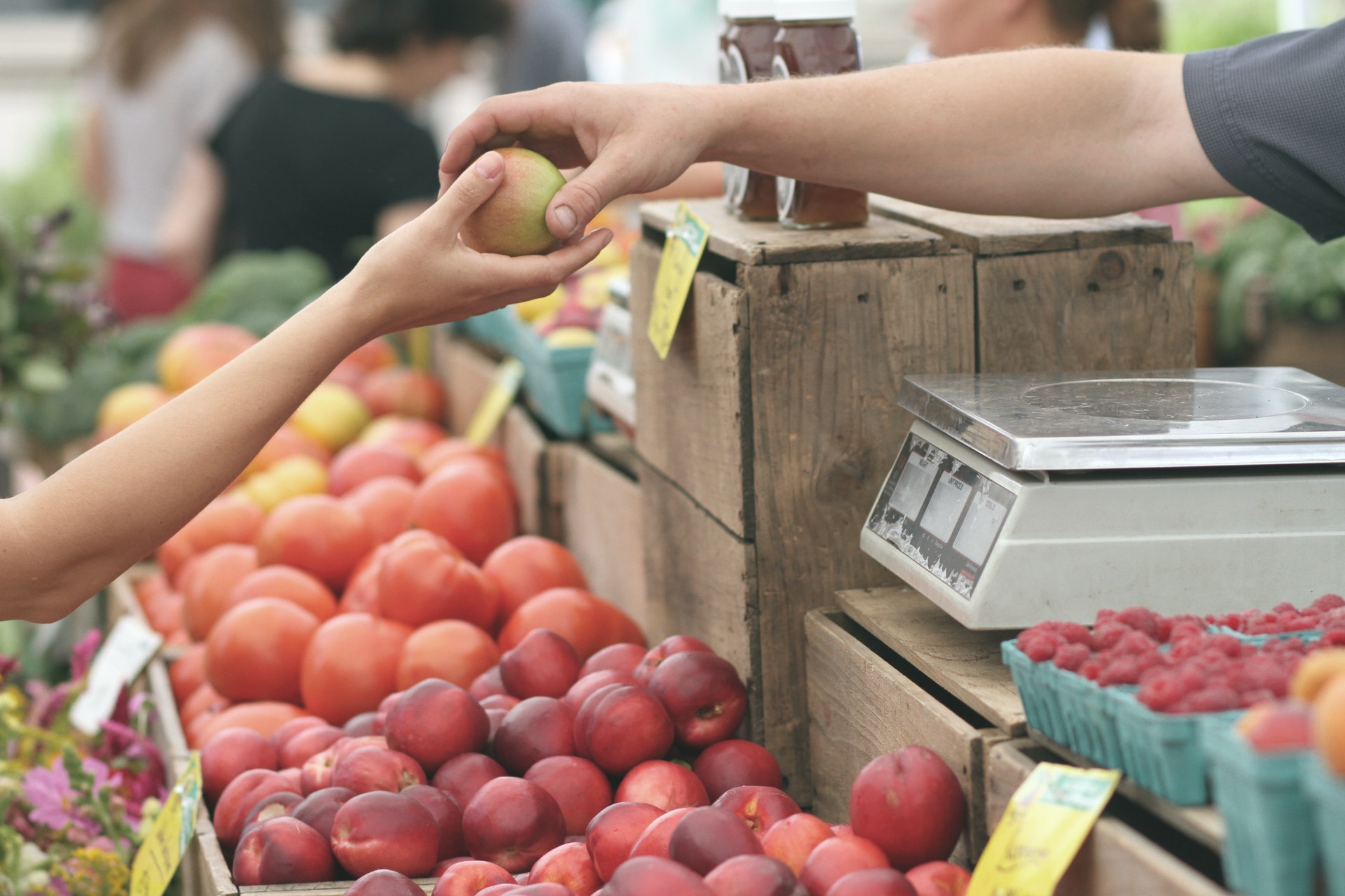 Two hands hovering over a large assortment of Apples and Tomatoes. You can see the hands exchanging an apple.